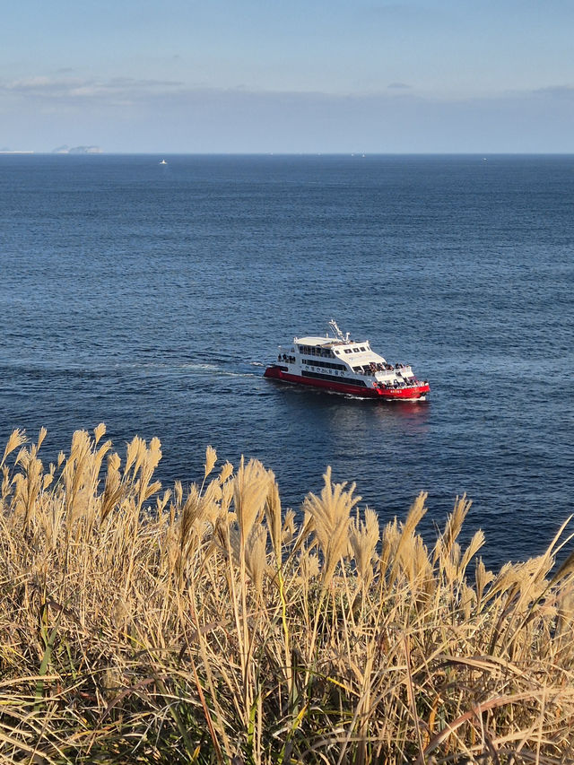 ๐ ์ ์ฃผ ์๊ทํฌ ์ก์
์ฐ ๋๋ ๊ธธ ์ ๋ณด ๐ข ๐ ์ ์ฃผ ์๊ทํฌ ์ก์
์ฐ ๋๋ ๊ธธ ์ ๋ณด ๐ข