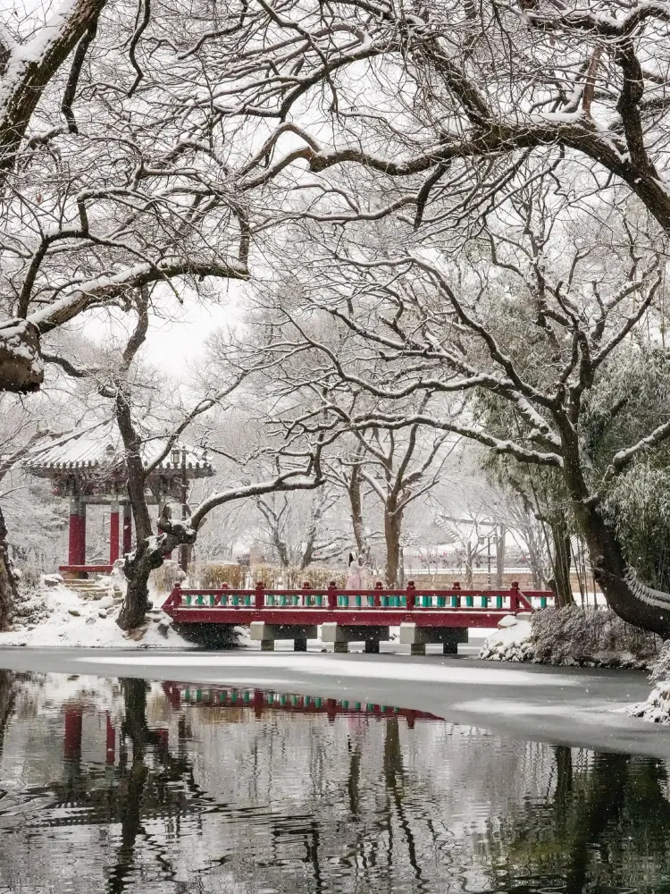 올 겨울, 꼭 다녀와야 할 설경 여행지 두번째❄