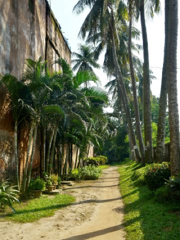 День, когда зелень ощущалась по-другому, в тропических лесах Камеруна.