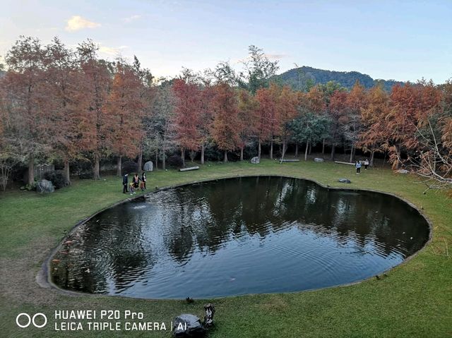 大樂之野景觀餐廳