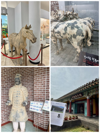 제주의 숨은 비경과 역사를 품은 곳, 서귀포 가볼만한곳 서복전시관 🐎