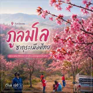 🌸 ใครกำลังมองหาที่เที่ยวหน้าหนาว…ขอแนะนำ “ภูลมโล” จังหวัดเลย