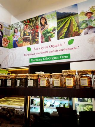 🤫 Bangkok's Clean-Eating Secret: The New Sustaina Cafe at Ekkamai Corner! 🌿🥕