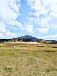 🇯🇵【熊本・阿蘇】草千里ヶ浜の絶景に感動!馬と大自然に癒される旅