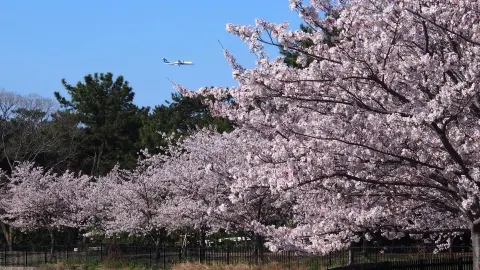 Where to Stay in Toyonaka? — traveler post in Itami