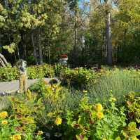 Assiniboine Park and the English Garden 