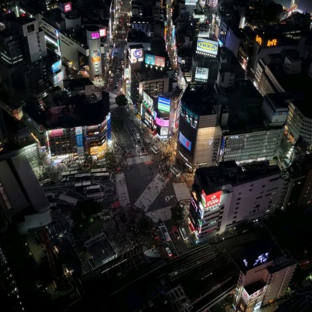 도쿄의 전망을 한눈에 담고 싶다면?