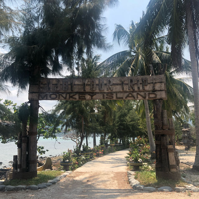 Monkeying Around in Paradise: Exploring Nha Trang's Wild Side!