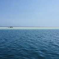 【ハワイ🇺🇸】天国の海サンドバー🏖️幻のビーチに大感動‼️