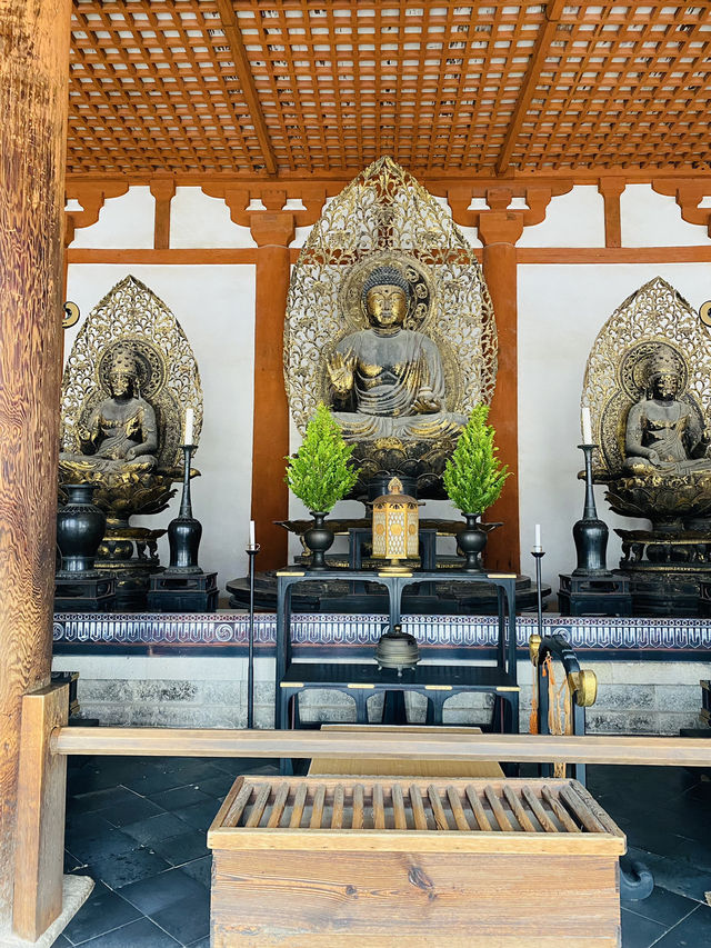 【奈良県🇯🇵法隆寺】日本最初の世界文化遺産☺️