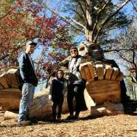 A family of forest giants designed in harmony with nature to illustrate the scale of wonder