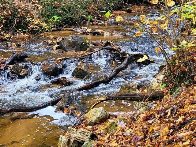 So much beauty to see at Cut River Bridge
