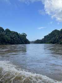 Costa Rica Turtle Island 
