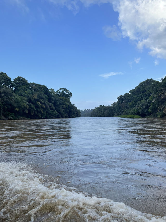 Costa Rica Turtle Island 
