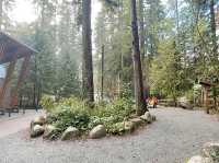 트와일라잇촬영지로 알려진 Vancouver에 위치한 Lynn Canyon park