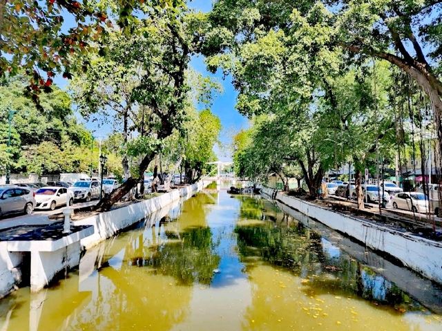 Amazing Saranrom Park