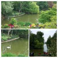 🌟 Exploring London's Hidden Gem: St. James Park 🌳🏰
