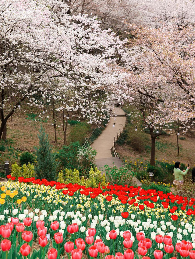 안산 연희숲속쉼터 🌺🌸