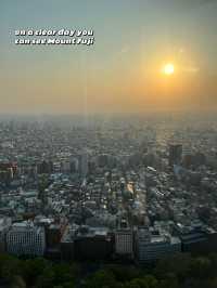 FREE Observation Deck in Tokyo at Metropolitan Government Building 🇯🇵