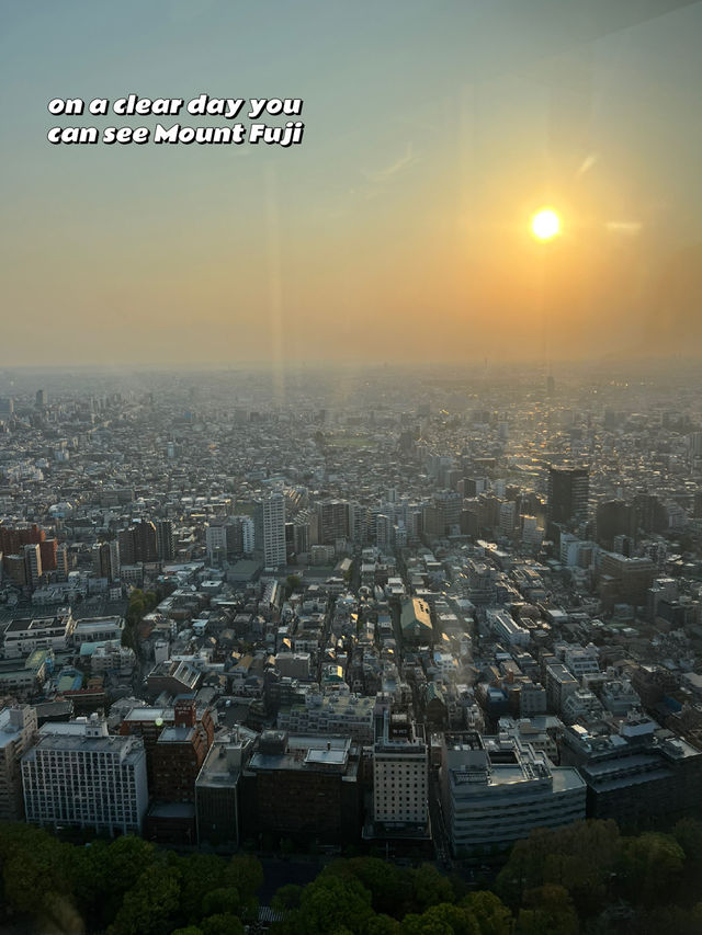 FREE Observation Deck in Tokyo at Metropolitan Government Building 🇯🇵