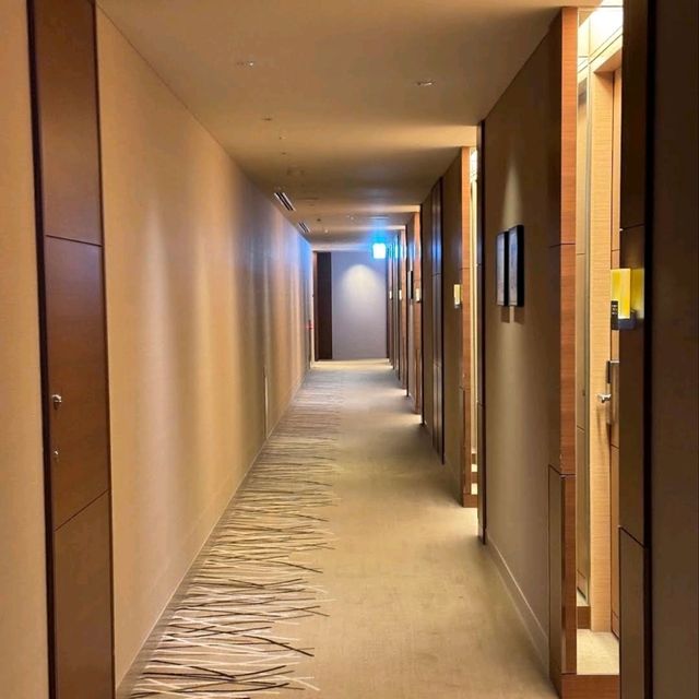 🌸大阪洲際酒店🌸感受真正的五星級體驗