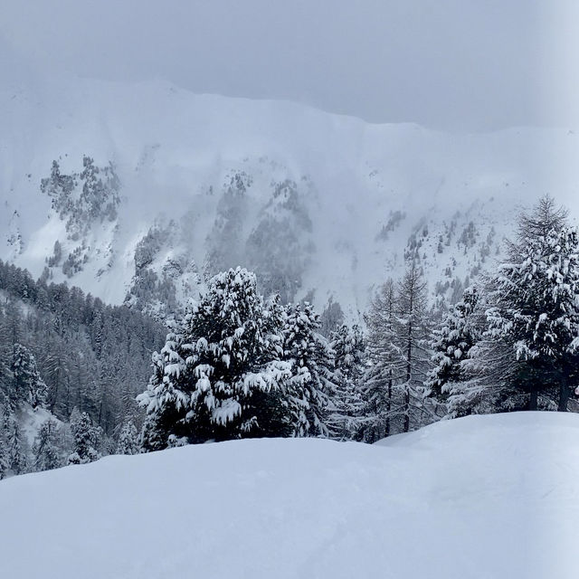 A Premier Destination for Alpine Events ❄️