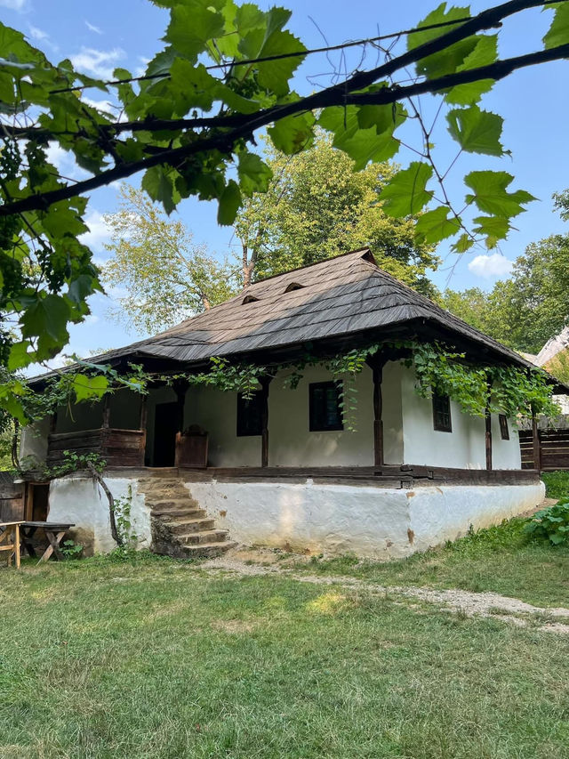 Astra Museum Of Traditional Folk Civilisation 🗺️