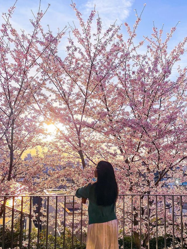 Tokyo, Japan
