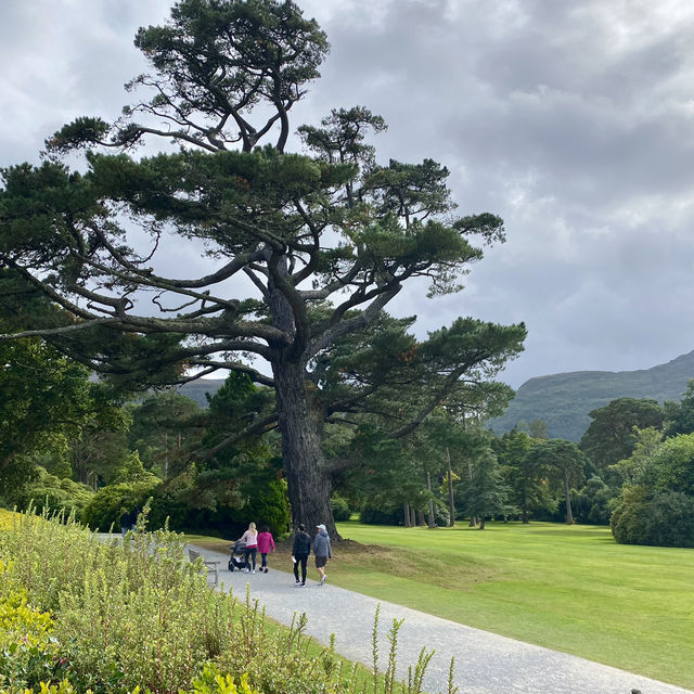 Muckross Lake Loop Walk 👌