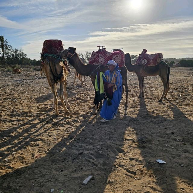 A Wonderful Camel Ride and BBQ Experience