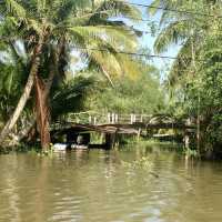 Lost in the Mekong Delta
