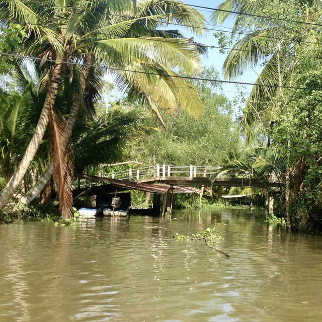Lost in the Mekong Delta