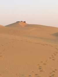 Camel Safari in Jaisalmer: A Journey Through the Thar Desert