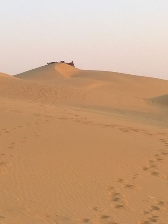 Camel Safari in Jaisalmer: A Journey Through the Thar Desert