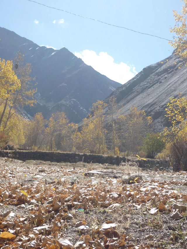 Hidden Valley Between Zinchan and Rumbak: A Remote Himalayan Escape