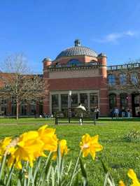 🌸 Birmingham in Bloom: The City Bursting with Colour This Spring 🌼🌆