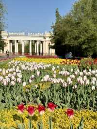 Springtime Fun at Central Park, Almaty