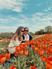 A day at Tulley’s Tulip Farm!🌷