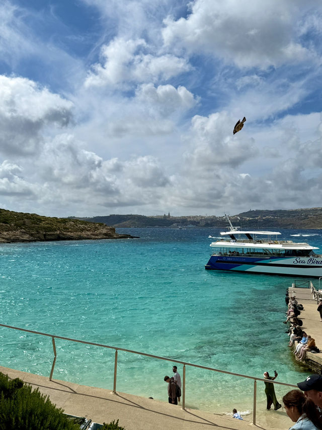 Your Go-To Spots for Authentic Blue Lagoon Vibes