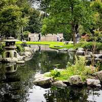 🌸 Hidden Elegance in West London: A Stroll Through Holland Park 🌿