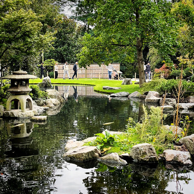 🌸 Hidden Elegance in West London: A Stroll Through Holland Park 🌿
