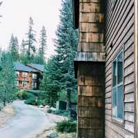 🏡 Where to Stay in & Around Sequoia National Park 🌲