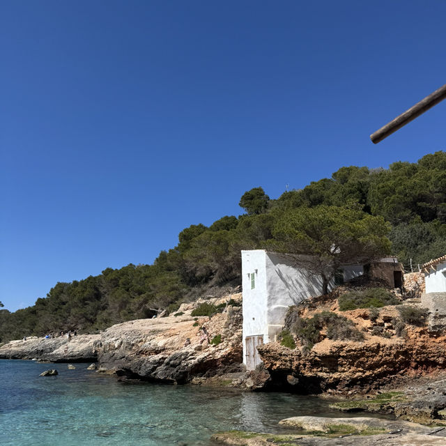 Once in Palma De Mallorca