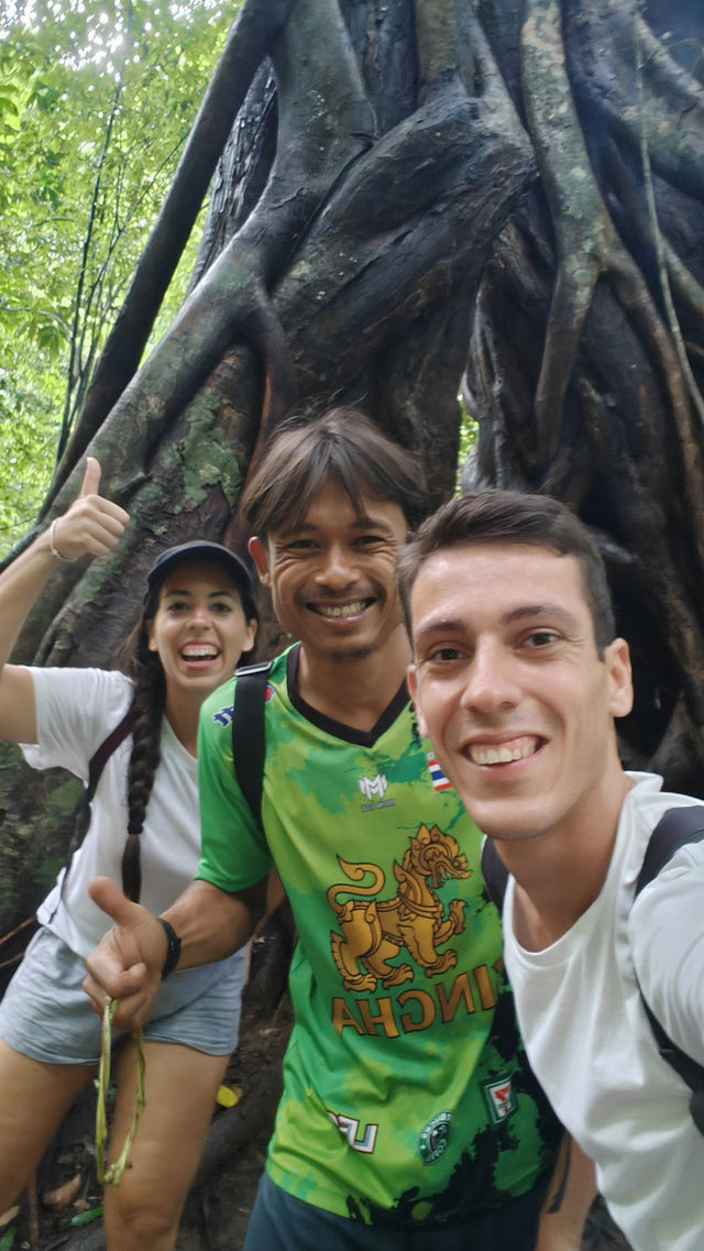 Jungle Trekking in Khao Sok – Guided or Solo? Here’s What You Need to Know 🥾🌴