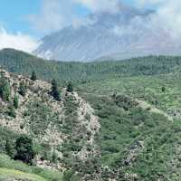 🌋🌴 Budget Summer Escape: Tenerife Without the Big Price Tag! 💰🌞