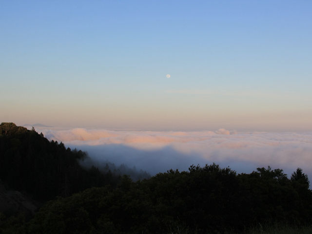 On top of the world just a stones throw from San Francisco! 