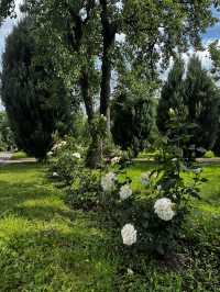 Kolomenskoye: How I Came for a Walk and Left Feeling Magic