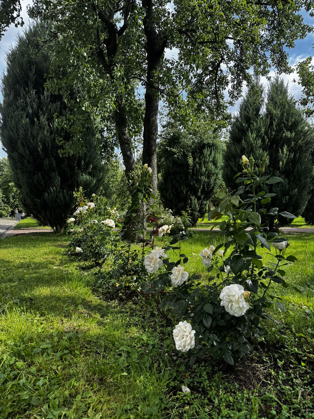 Kolomenskoye: How I Came for a Walk and Left Feeling Magic