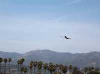 Santa Barbara. The quintessential Californian beach town! 