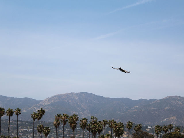 Santa Barbara. The quintessential Californian beach town! 